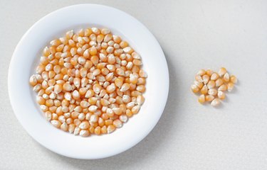 Corn kernels in white plate on table