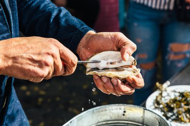 Close up of a man opening oyster shell with a knife