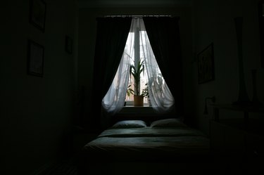Window by bed in bedroom