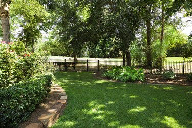 Nature:  Backyard overlooking golf course.  Flowerbeds and shrubs.