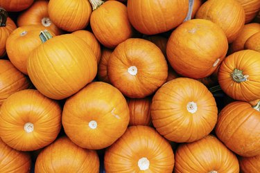 Full frame shot of bright orange pumpkins