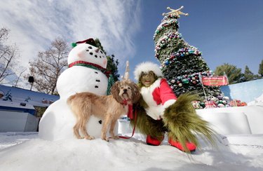 Grinch Tutu, Girls Grinch Costume, Christmas Grinch Dress, Grinch Girl