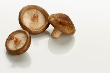 mushroom