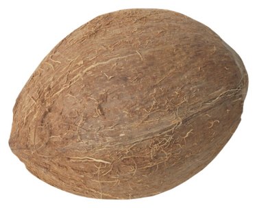 Coconut Half Shell with Fiber