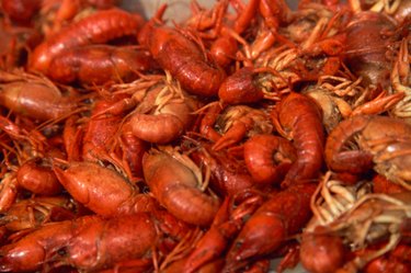 Crawfish are the State Crustacean of Louisiana.