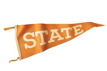 College Pennants at College Flags and Banners Co. your College Pennants  source