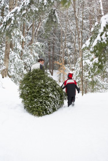 Alternatives to a Christmas Tree Stand | eHow