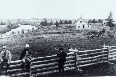 delaware colony farm