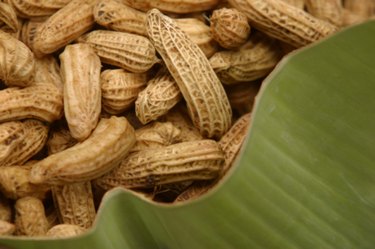 Raw peanuts store in shell