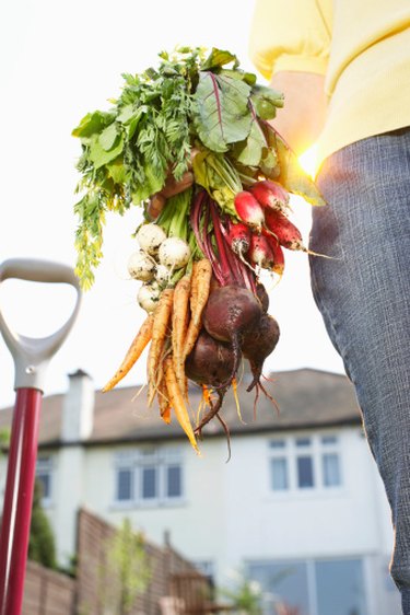 Bone meal deals for tomatoes