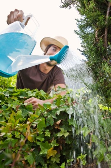 Miracle Gro Gardening Hat