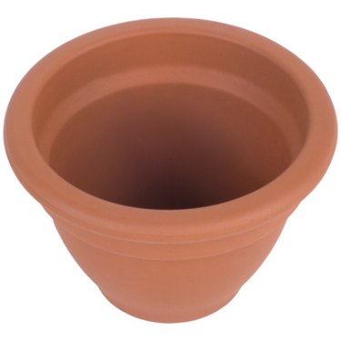 Sealing Terracotta Pots - Kippi at Home