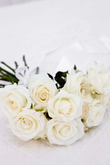 Two Old Dried Roses, One Red and One White - Black and White