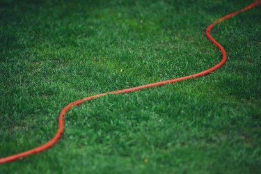 Red garden hose on green lawn