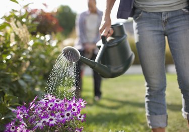 Woman watering flowers in garden with watering can