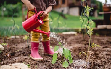 A midsection of portrait of cute small child outdoors gardening.