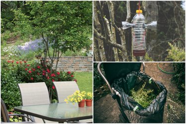 10 Smart Ways to Bug-Proof Your Backyard