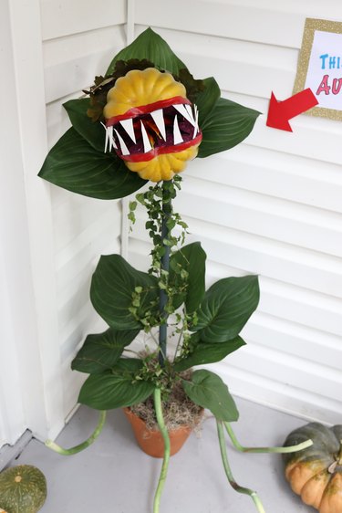 DIY Audrey II plant from Little Shop of Horrors
