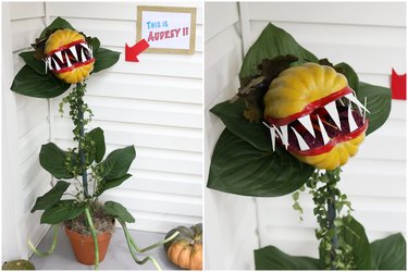 Finished DIY 'Little Shop of Horrors' Audrey II Venus Fly Trap