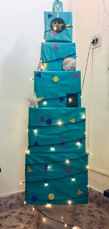 Jessica Smith’s Box Tree