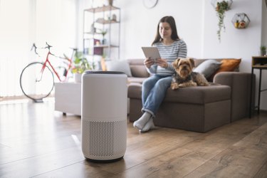 Young woman in living room setting up home air purifier.