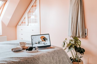 laptop computer on bed with monstera plant