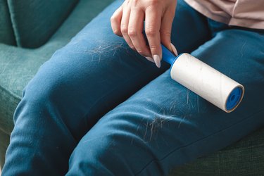 Woman cleaning clothes with sticky roller from cats hair. Cleanin