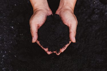 Cropped hands of person holding mud