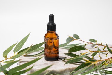 Face and body serum in bottle on a marble board on a white background with green leaves.