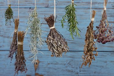 Herbs hanging out to dry