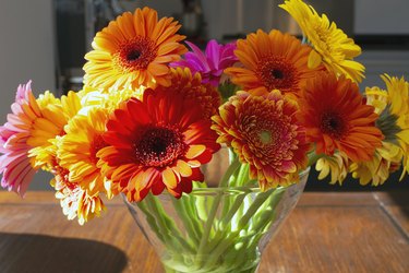 Colorful gerber daisies in a glass vase on a wooden table in a bright modern room, retro spring design