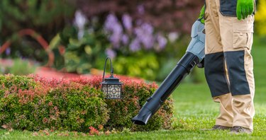 Gardener with Leaf Blower in His Hand Cleaning Residential Garden