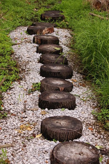 Path Made of Tree Stumps and Gravel