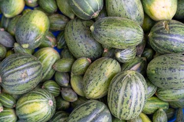 Top view of small unripe melons to make pickles