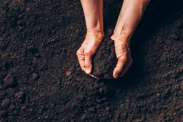 Agriculture, organic gardening, planting or ecology concept. Dirty woman hands holding moist soil. Environmental, earth day. Banner. Top view. Copy space. Farmer checking before sowing