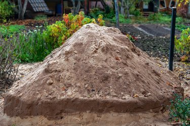 Large pile of sand in the vegetable garden