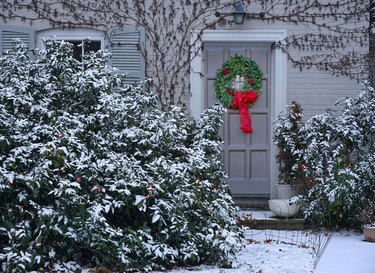 snow covered bushes and Christmas decoration wreath on the front door