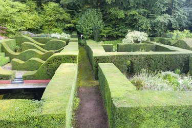 View over clipped Yew hedges forming garden rooms ;Veddw House Garden, Monmouthshire, Wales, United Kingdom. September. Summer. Image taken by drone.