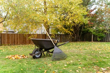 Pile of leaves next to rake and wheelbarrow in residential backyard
