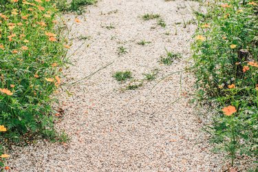 Stone pathway in spring