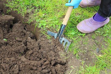 A woman digs the earth in the garden with a shovel