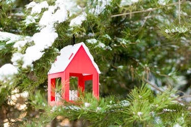 Beautiful bird feeder hanging on Christmas tree in a winter forest