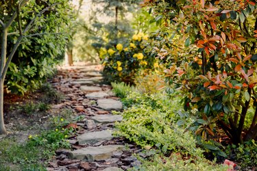 Beautiful view of landscaped garden with path and evergreen plants in home backyard.