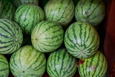 Watermelons stacked and placed on a shelf for sale within a market
