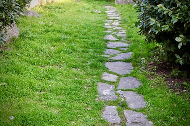 Stepping stone path in old garden