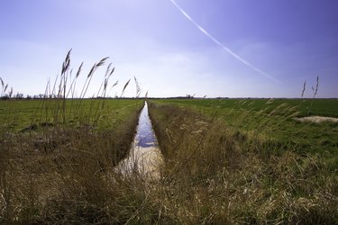 Farmland drainage ditch between rural pasture fields.