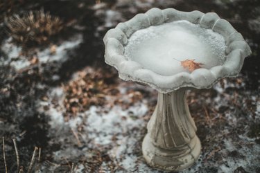 Frozen Birdbath