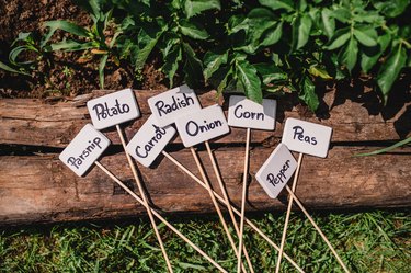 Plant labels and markers in vegetable garden, summer time.