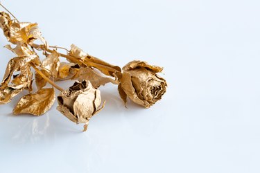 Rose with gold color on a white table