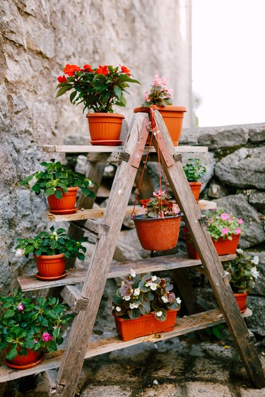 bookcase shelf with flowers. Flower pots are brown with flowers on a wooden stepladder. DIY wooden shelf for flowers.